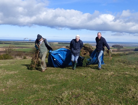 Update on the Whin Grasslands Project